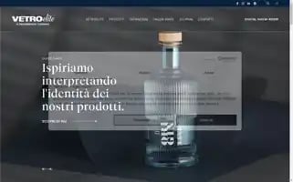 Vetroelite.com Screenshot 2024-06-18 19:44:15