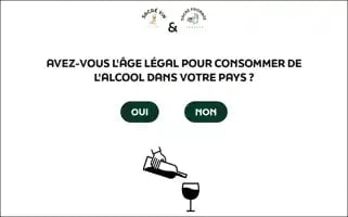 Sacre-vin-fromage.fr Screenshot 2024-06-28 01:45:10