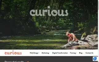 Iamcurious.co.uk Screenshot 2024-07-01 01:40:32