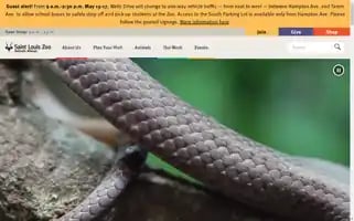 Stlzoo.org Screenshot 2024-05-14 02:27:00