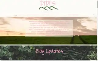 Didistravels.com Screenshot 2024-04-22 13:07:57