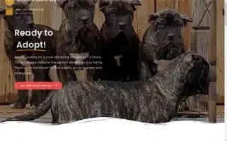 Ultimateguarddog.com Screenshot 2024-05-23 13:41:00