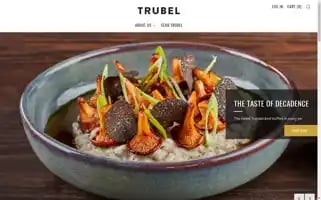 Trubel.co.uk Screenshot 2024-05-05 09:34:43