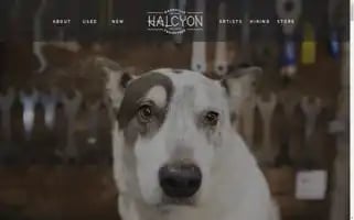 Halcyonbike.com Screenshot 2024-07-02 17:50:44
