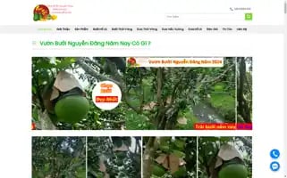 Banbuoiholo.com Screenshot 2024-05-22 22:49:42