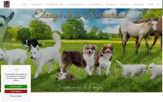 Elevagedelarectouresse.com Screenshot 2024-04-16 18:12:57