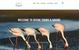 Divinetoursandsafari.com Screenshot 2024-04-22 11:11:08