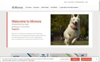 Movora.com Screenshot 2024-07-04 22:49:08