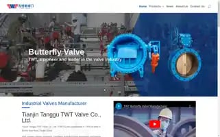 Wtstwtvalve.com Screenshot 2024-05-21 19:07:00