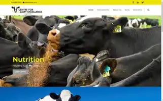 Cfde.co.nz Screenshot 2024-05-18 03:36:45