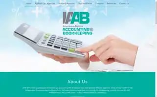 Insuranceagencyaccountants.com Screenshot 2024-05-16 02:41:46