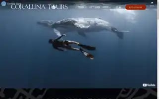 Corallinatours.com Screenshot 2024-04-17 18:07:08