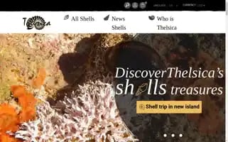 Thelsica.com Screenshot 2024-07-03 06:09:19