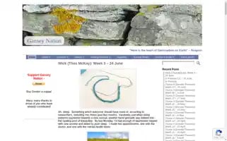 Ganseys.com Screenshot 2024-06-29 17:01:13