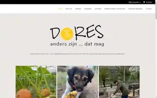 Dores.be Screenshot 2024-05-18 05:26:22