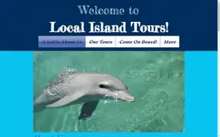 Localislandtours.com Screenshot 2024-04-23 04:43:51