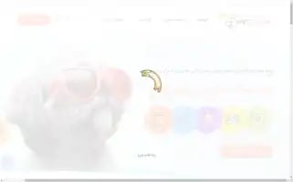 Petbaren.com Screenshot 2024-05-21 23:53:16