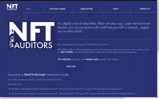 Nftauditors.com Screenshot 2024-06-28 05:40:18