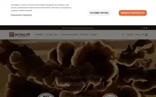 Gombadr.hu Screenshot 2024-07-10 01:34:08