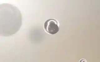 P-genau.de Screenshot 2024-06-17 02:15:12