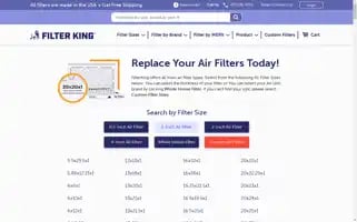 Filterking.com Screenshot 2024-05-09 17:10:00