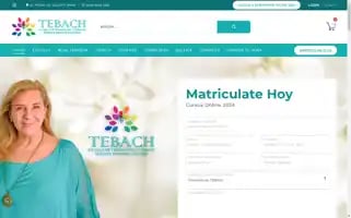 Tebach.cl Screenshot 2024-07-08 17:21:13