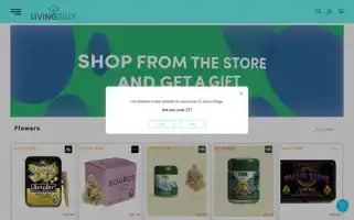 Livingsilly.store Screenshot 2024-05-22 06:18:52