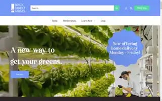 Brickstreetfarms.com Screenshot 2024-06-12 13:06:37