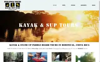 Pineapplekayaktours.com Screenshot 2024-04-19 08:38:10