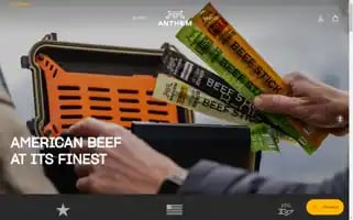 Anthemsnacks.com Screenshot 2024-05-05 05:49:05