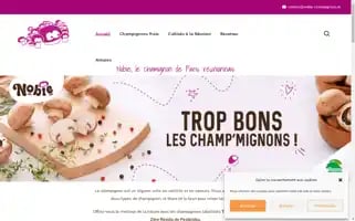 Lou-champignons.re Screenshot 2024-05-18 18:17:33