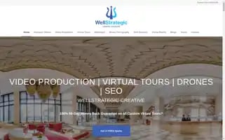 Wellstrategic.com.au Screenshot 2024-07-05 03:36:23