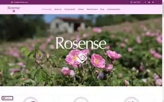 Rosense.com Screenshot 2024-06-16 18:18:11