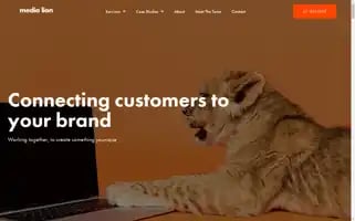 Medialion.com.au Screenshot 2024-07-03 01:11:45