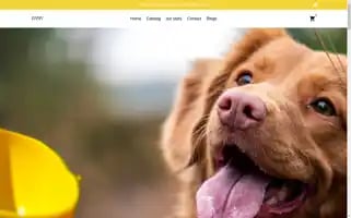 Zivvy.shop Screenshot 2024-05-04 01:54:58