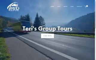 Terisgrouptours.com Screenshot 2024-04-18 18:57:03