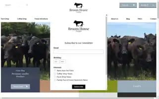 Broomhousedurham.co.uk Screenshot 2024-06-11 22:32:07