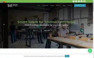 Smartalentit.com Screenshot 2024-06-15 02:40:38