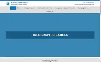 Bluecapventures.com Screenshot 2024-05-15 14:49:00