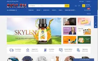 Skylen.vn Screenshot 2024-06-17 10:40:51