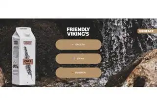 Friendlyvikings.com Screenshot 2024-06-30 20:21:19
