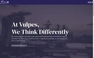 Vulpesinvest.com Screenshot 2024-06-29 22:18:33