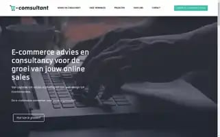 E-comsultant.nl Screenshot 2024-06-17 09:59:29