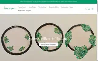 Bloompop.com Screenshot 2024-05-04 19:34:25