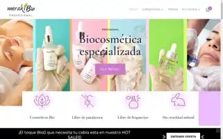 Merakibioprofesional.com Screenshot 2024-05-18 23:07:52