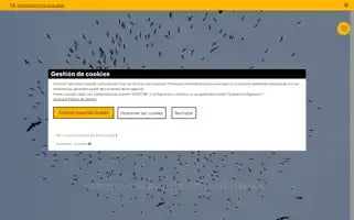 Starlingtravel.com Screenshot 2024-04-17 10:56:01