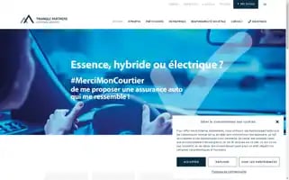 Trianglepartners.be Screenshot 2024-07-02 17:57:54