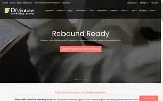 Diventuremarketing.com Screenshot 2024-05-15 20:17:27
