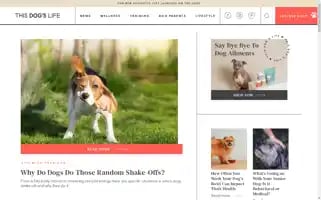 Thisdogslife.co Screenshot 2024-05-04 23:21:08