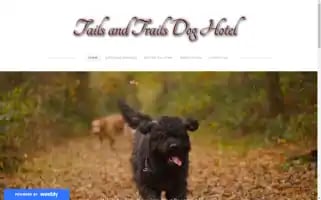 Tailsandtrailsdoghotel.com Screenshot 2024-04-26 17:33:35